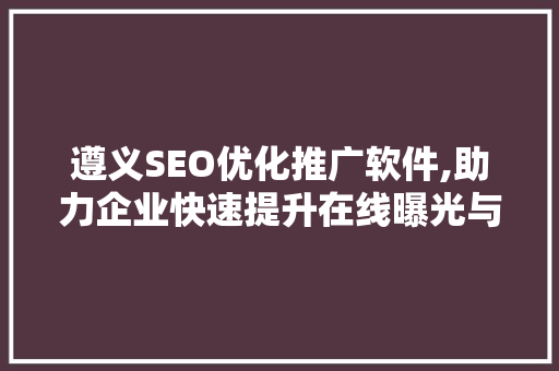 遵义SEO优化推广软件,助力企业快速提升在线曝光与转化 网站建设公司