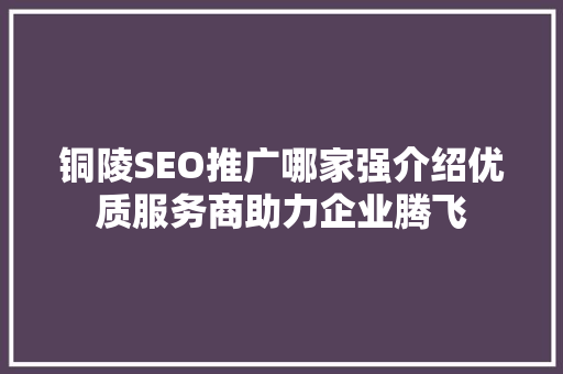铜陵SEO推广哪家强介绍优质服务商助力企业腾飞 SEO关键词