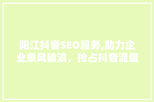阳江抖音SEO服务,助力企业乘风破浪，抢占抖音流量红利 SEO关键词