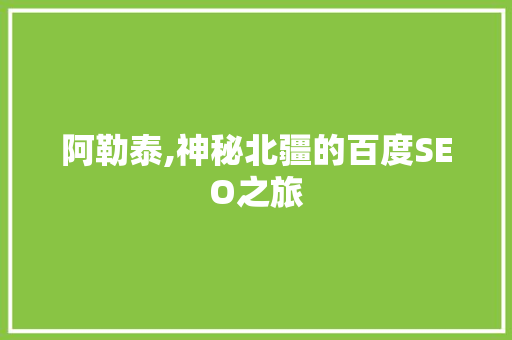 阿勒泰,神秘北疆的百度SEO之旅 必应SEO