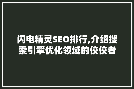 闪电精灵SEO排行,介绍搜索引擎优化领域的佼佼者 SEO关键词