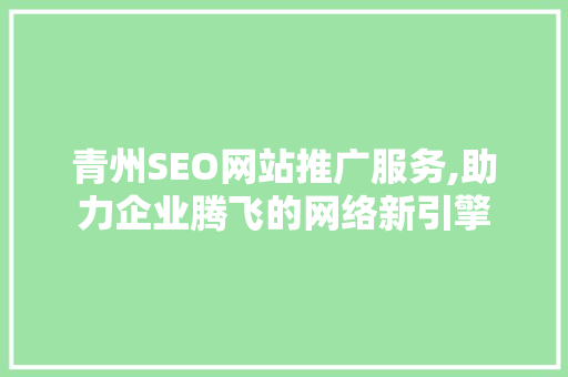 青州SEO网站推广服务,助力企业腾飞的网络新引擎 神马SEO