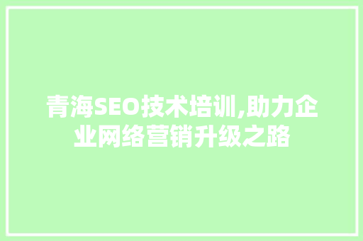 青海SEO技术培训,助力企业网络营销升级之路 百度SEO