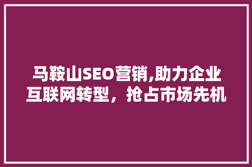 马鞍山SEO营销,助力企业互联网转型，抢占市场先机 搜狗SEO