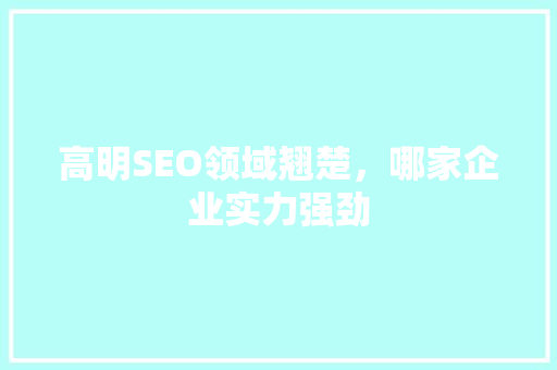 高明SEO领域翘楚，哪家企业实力强劲 必应SEO