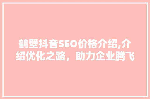 鹤壁抖音SEO价格介绍,介绍优化之路，助力企业腾飞 网站建设公司