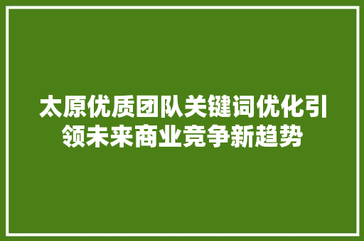 太原优质团队关键词优化引领未来商业竞争新趋势 百度SEO