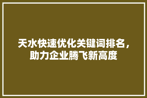 天水快速优化关键词排名，助力企业腾飞新高度 百度SEO
