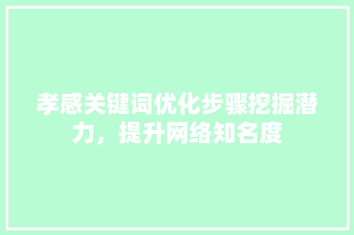 孝感关键词优化步骤挖掘潜力，提升网络知名度 神马SEO