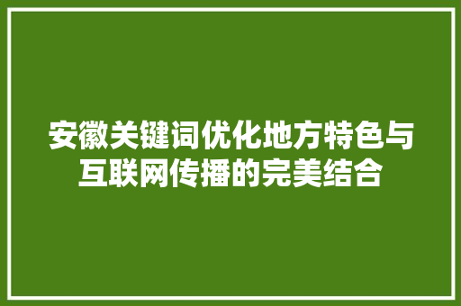 安徽关键词优化地方特色与互联网传播的完美结合 百度SEO