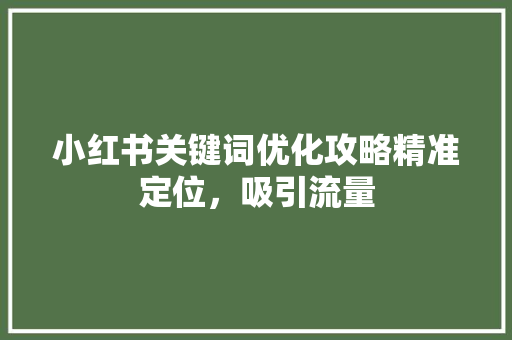 小红书关键词优化攻略精准定位，吸引流量 SEO关键词