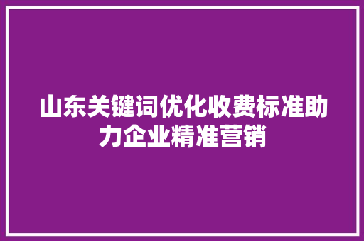 山东关键词优化收费标准助力企业精准营销 网站建设公司