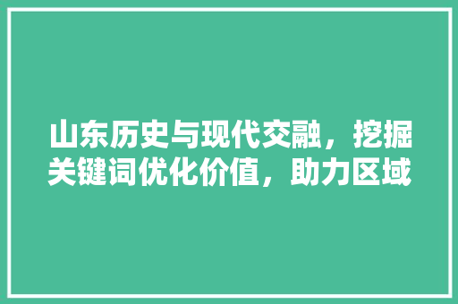 山东历史与现代交融，挖掘关键词优化价值，助力区域经济发展 网站建设公司