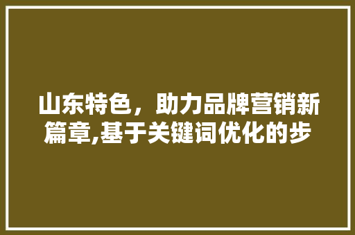 山东特色，助力品牌营销新篇章,基于关键词优化的步骤 SEO关键词