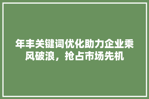 年丰关键词优化助力企业乘风破浪，抢占市场先机 百度SEO