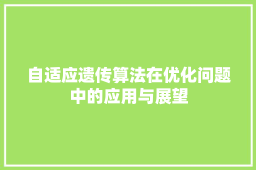 自适应遗传算法在优化问题中的应用与展望 网站建设公司