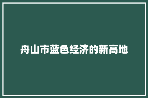 舟山市蓝色经济的新高地 必应SEO