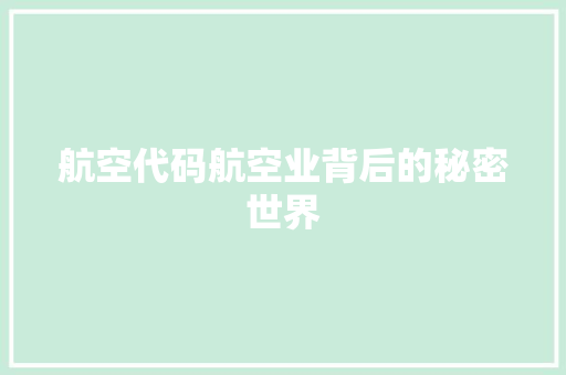 航空代码航空业背后的秘密世界 网站建设公司