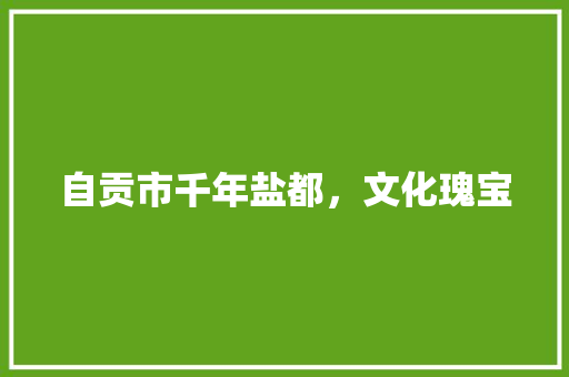 自贡市千年盐都，文化瑰宝 SEO关键词