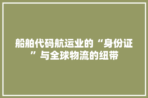 船舶代码航运业的“身份证”与全球物流的纽带 百度SEO
