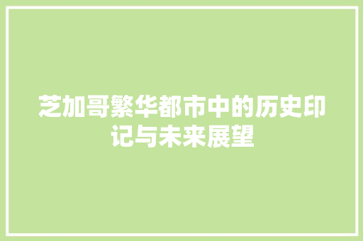 芝加哥繁华都市中的历史印记与未来展望 百度SEO