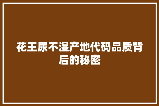 花王尿不湿产地代码品质背后的秘密 搜狗SEO