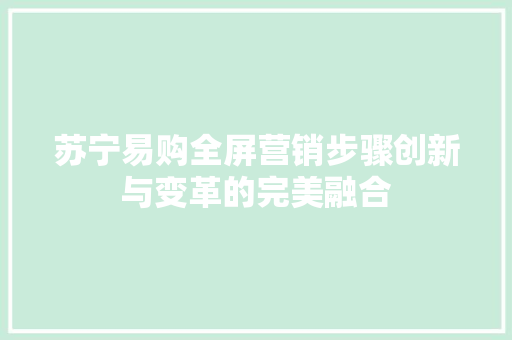 苏宁易购全屏营销步骤创新与变革的完美融合 百度SEO