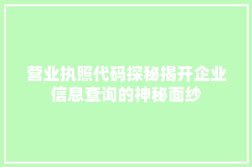 营业执照代码探秘揭开企业信息查询的神秘面纱 网站建设公司
