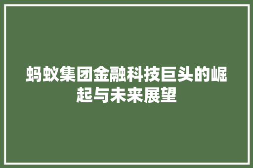 蚂蚁集团金融科技巨头的崛起与未来展望 SEO关键词