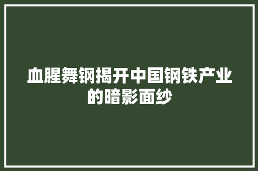 血腥舞钢揭开中国钢铁产业的暗影面纱 网站建设公司