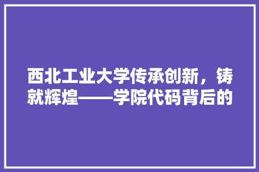 西北工业大学传承创新，铸就辉煌——学院代码背后的故事 神马SEO