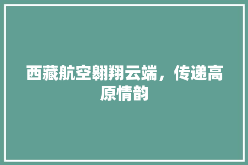 西藏航空翱翔云端，传递高原情韵 SEO关键词