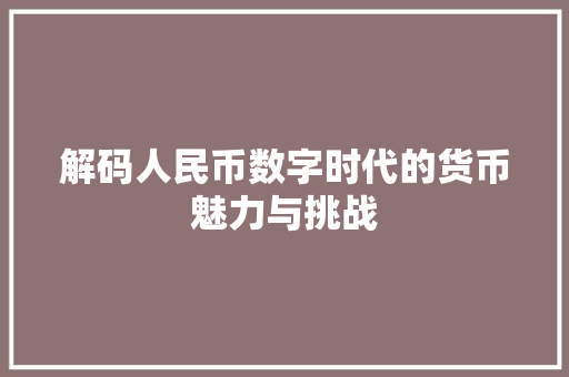 解码人民币数字时代的货币魅力与挑战 网站建设公司
