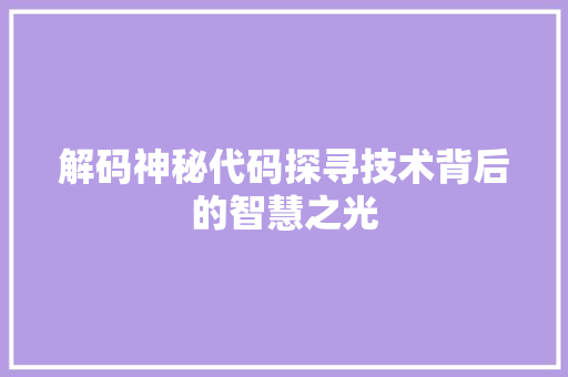 解码神秘代码探寻技术背后的智慧之光 百度SEO