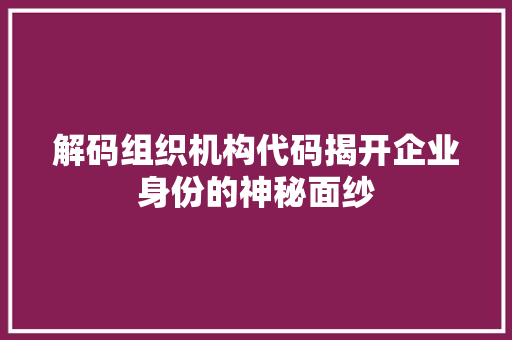 解码组织机构代码揭开企业身份的神秘面纱 必应SEO