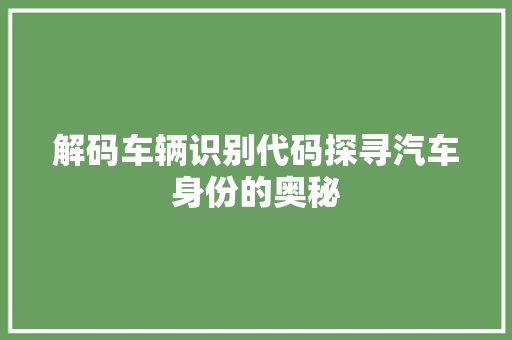 解码车辆识别代码探寻汽车身份的奥秘 网站建设公司