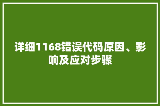 详细1168错误代码原因、影响及应对步骤 SEO关键词