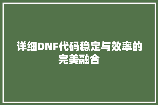 详细DNF代码稳定与效率的完美融合 百度SEO