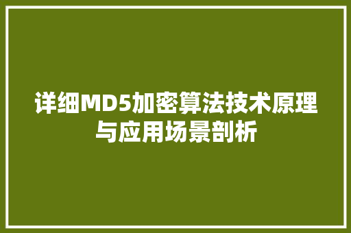 详细MD5加密算法技术原理与应用场景剖析 必应SEO