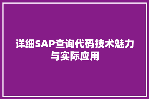 详细SAP查询代码技术魅力与实际应用 网站建设公司