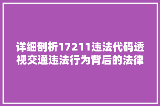 详细剖析17211违法代码透视交通违法行为背后的法律责任与治理挑战
