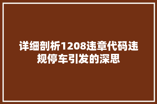 详细剖析1208违章代码违规停车引发的深思 神马SEO