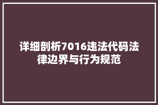 详细剖析7016违法代码法律边界与行为规范 SEO关键词