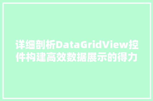详细剖析DataGridView控件构建高效数据展示的得力助手 必应SEO