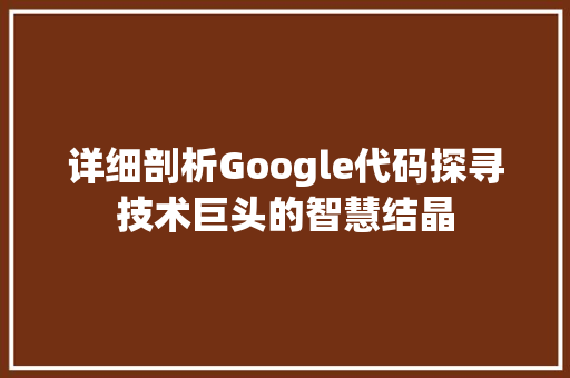 详细剖析Google代码探寻技术巨头的智慧结晶 神马SEO