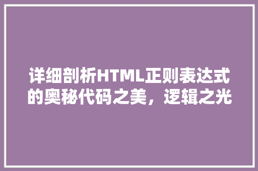 详细剖析HTML正则表达式的奥秘代码之美，逻辑之光 网站建设公司