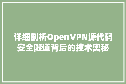 详细剖析OpenVPN源代码安全隧道背后的技术奥秘 神马SEO