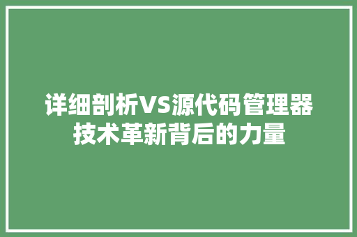 详细剖析VS源代码管理器技术革新背后的力量 SEO关键词