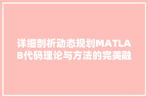 详细剖析动态规划MATLAB代码理论与方法的完美融合