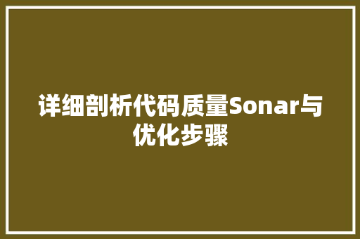 详细剖析代码质量Sonar与优化步骤